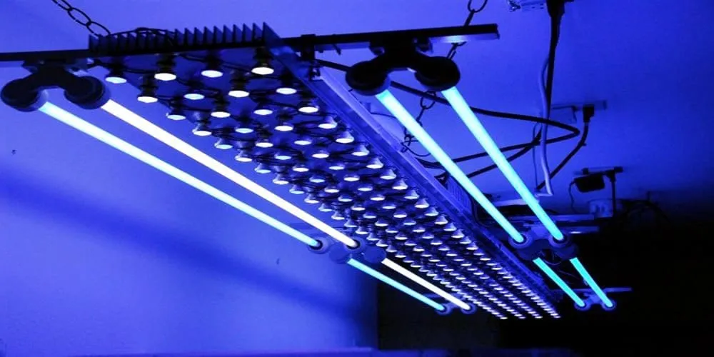 Ariel, la LED del futuro