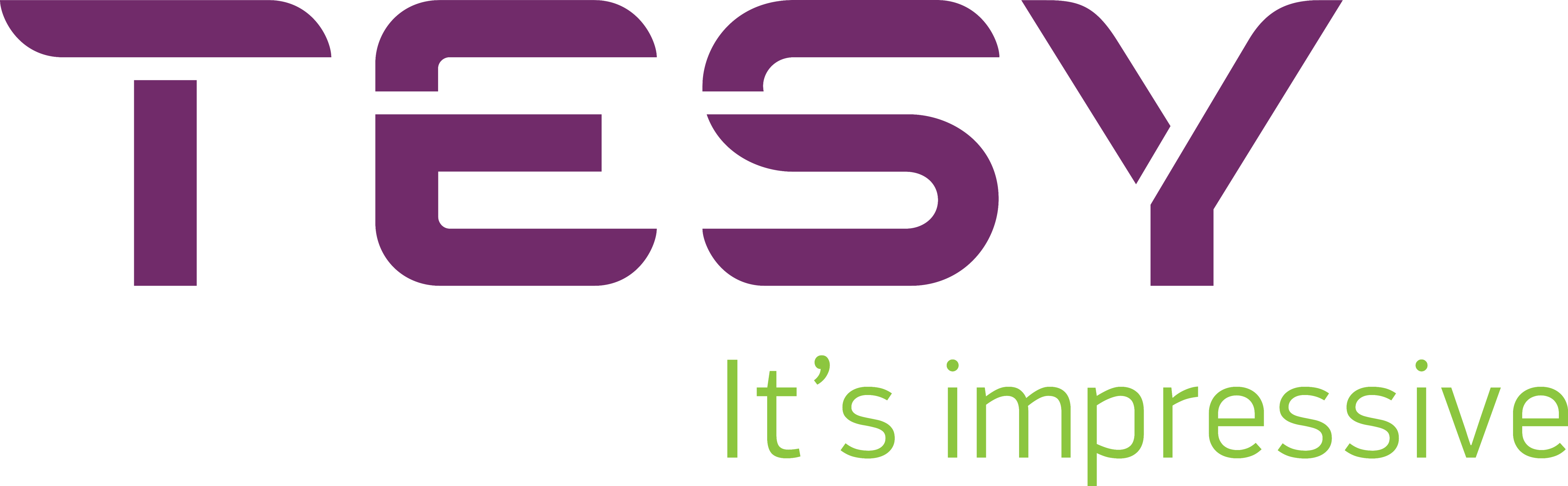 alt-logotipo-tesy-eficiencia