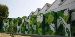 airlite-pintura-para-reducir-contaminación
