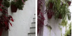 humedades-rehabilitacion-de-muros