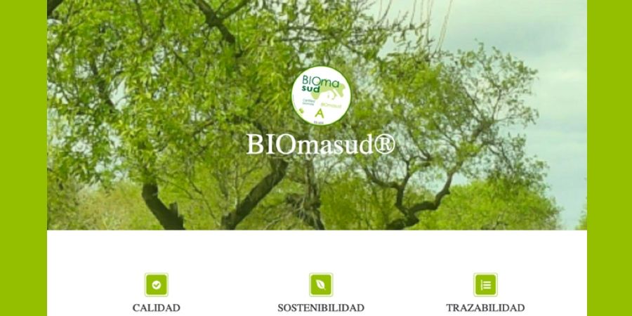 nueva web biomasud