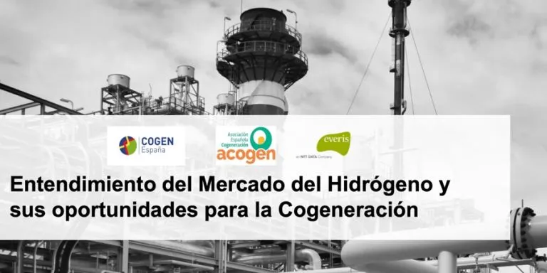 estudio mercado hidrogeno y cogeneracion acogen