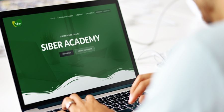 cursos en abierto siber academy