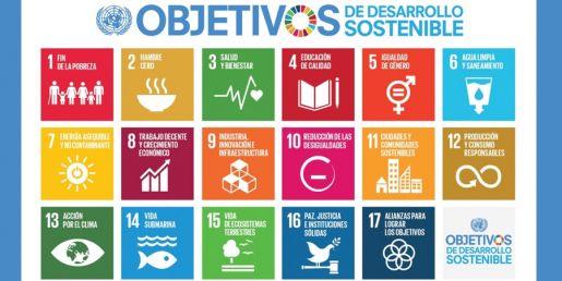 Qué son los Objetivos de Desarrollo Sostenible (ODS) y cuál es su papel