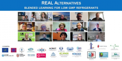 webinar internacional real alternatives-cni