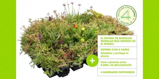 Soluciones CleverGreen para mejorar la sostenibilidad y eficiencia de los edificios