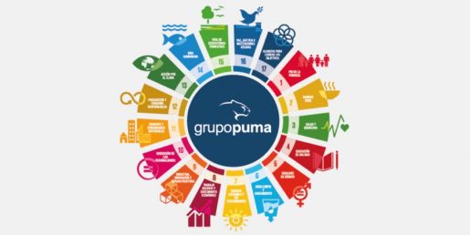 Grupo Puma publica su Informe de Sostenibilidad 2021