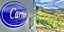 tecnologia carrier en bodegas pago