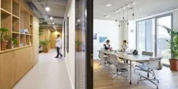 ruido oficinas aislamiento rockwool
