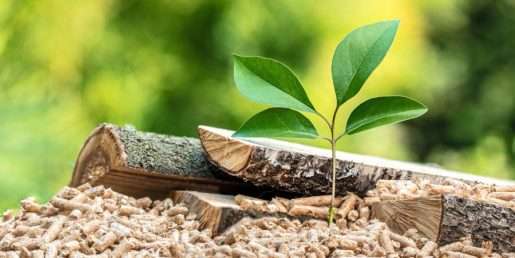Instalación eficiente con biomasa: reglamentación, ventajas y beneficios