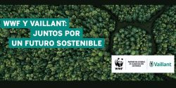 wwf vaillant acuerdo