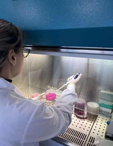 laboratorio grupo aire limpio