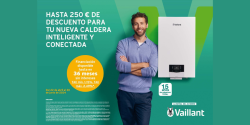 vaillant promocion primavera