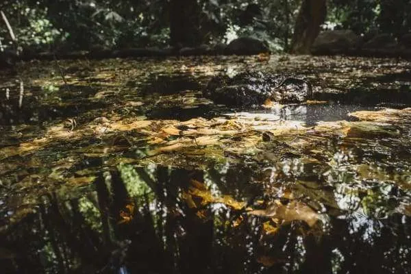 hidrotermia fuentes de energia