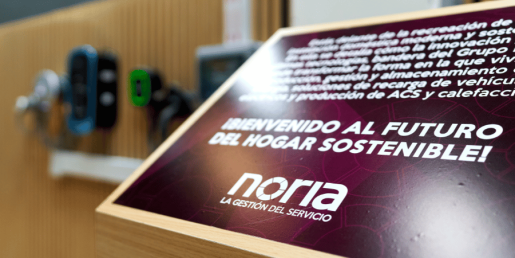 Grupo NORIA culmina 2024 consolidando liderazgo en sostenibilidad e innovación