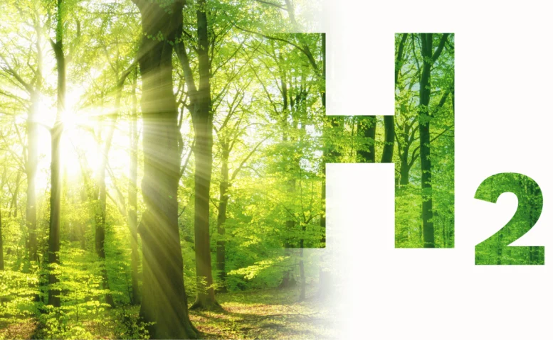 bosch participa jornada fotovoltaica hibrogeno comunidades energeticas