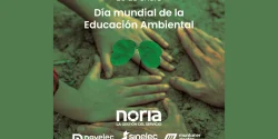 grupo noria cursos sobre sostenibilidad