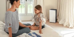 consejos daikin cuidar calidad del aire contra alergenos
