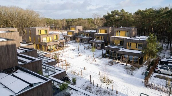 fachadas moso bambu material sostenible