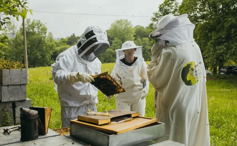 lg impulsa modelo sostenibilidad