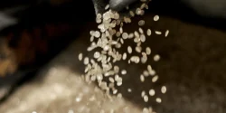 ursa bate record economia circular con toneladas de material reciclado