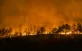gestion forestal y bioenergia aliados frente incendios en españa