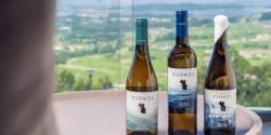 tecna optimiza bodegas vionta con large evo