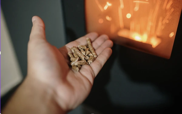 energias renovables en viviendas biomasa