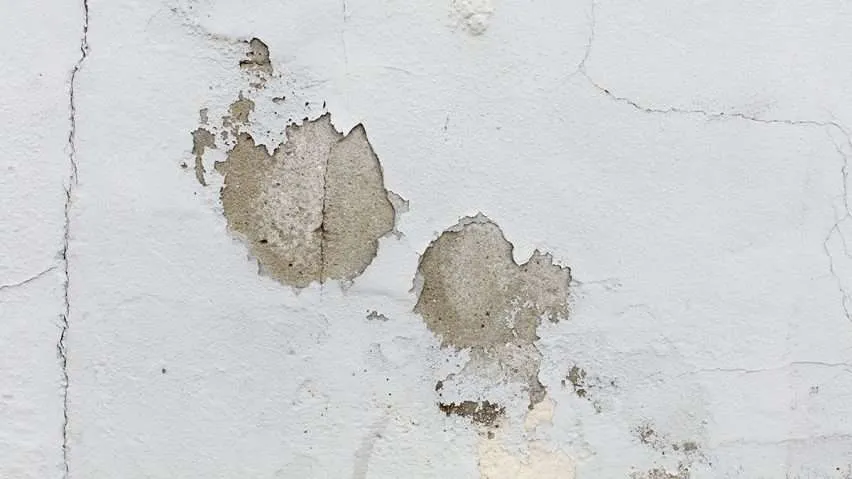 humedad pared