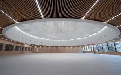 saint-gobain ecophon reduccion reverberacion palacio congresos madrid